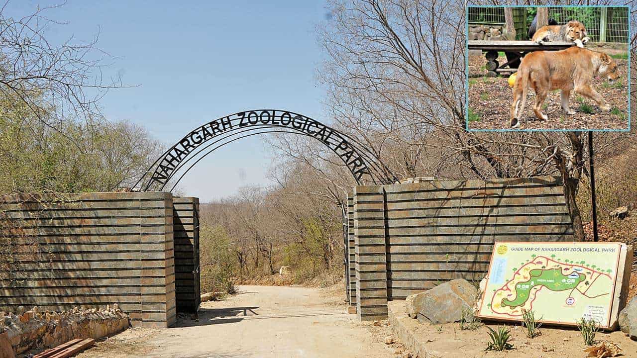 Jaipur Zoo 