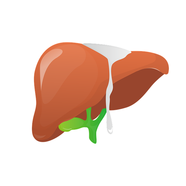 What are the 6 signs of a Fatty Liver ?